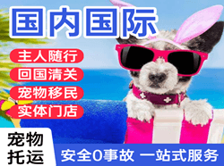 普宁航空邮寄国际宠物托运 【国